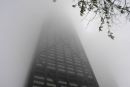 John in Fog
