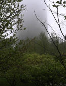 Lake Point II