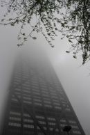 John in Fog II