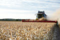 Harvest
