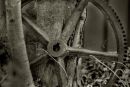 Julie's Wheel.