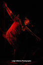 Electric Mary