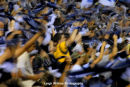 Melbourne Victory supporters