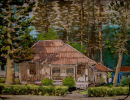 Lanai City Plantation Home