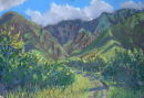 " Road into Ukumehame Valley'