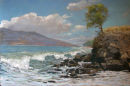 West Maui Shore Break