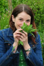 Sun feature on allotments