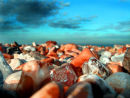 A stoney beach 