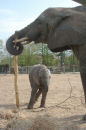 Mother and daughter pole dancing practice