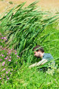 Fergus the forager