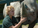 Rhino