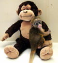 Surrogate Mother for baby