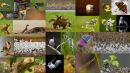 Selection of BWPA 2012 Entries