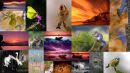 2008 Top Twenty Montage