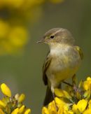 1 of 4 BWPA 2011 Spring Portfolio Images - Highly Commended