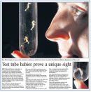 Baby seahorses at the National Marine Aquarium
