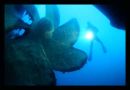 Diving Ibiza's Don Pedro wreck