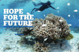 Maldives spread in December edition of DIVE magazine