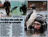 MAIL ON SUNDAY: The diver who really did p-p-pick up a penguin