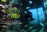 The Mighty Mo - Diving SW Florida's Mohawk wreck