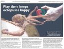 Octopus toys!