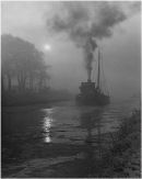 Into The Fog