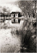 The Curling Pond Killearn