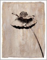 Margaret Campbell "Flower on the Wall"
