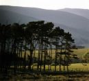 Lakeland Fells
