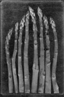 Asparagus
