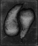Pears