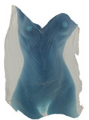 Torso