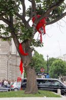 Dragon in tree 