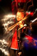 The violinist 
