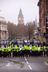 Government protected from criticism