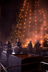 Trafalgar Square Christmas tree 