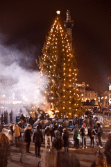 Trafalgar Square Christmas tree saved