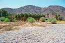 Zzyzx, Mojave Desert,