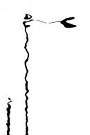 notation 