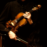 violin in a tree
