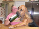 "Bailey" hits the bottle