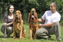 International Ch/ Multi Ch. Astrid Roborovski, and our Ch. Farlap Generous, here in Devon after their mating.