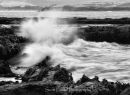 3 Water Movement