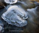 Ice Island