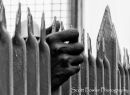 Hands on the Fence 2