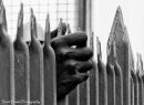 Hands on the fence 2