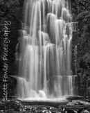 McLean's Falls