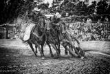Methven Rodeo-3