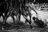 Methven Rodeo-4