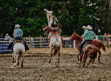 Methven Rodeo-4